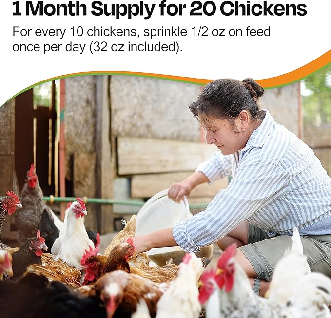Chicken & Bird Supplement with Sea Buckthorn to Improve Egg Quality & Increase Egg Production (1-Month Supply for 20 Chickens)