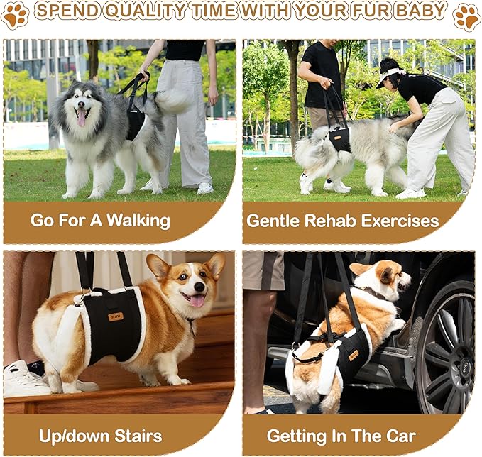 Dog Lift Harness Sling for Large Dogs - Adjustable Rear Leg Support with Padding & No-Slip Back Fixed Buckle, Hip Dysplasia/ACL/TPLO Surgery Recovery Aid, Dog Harness for Injured,Disabled/Senior Dogs