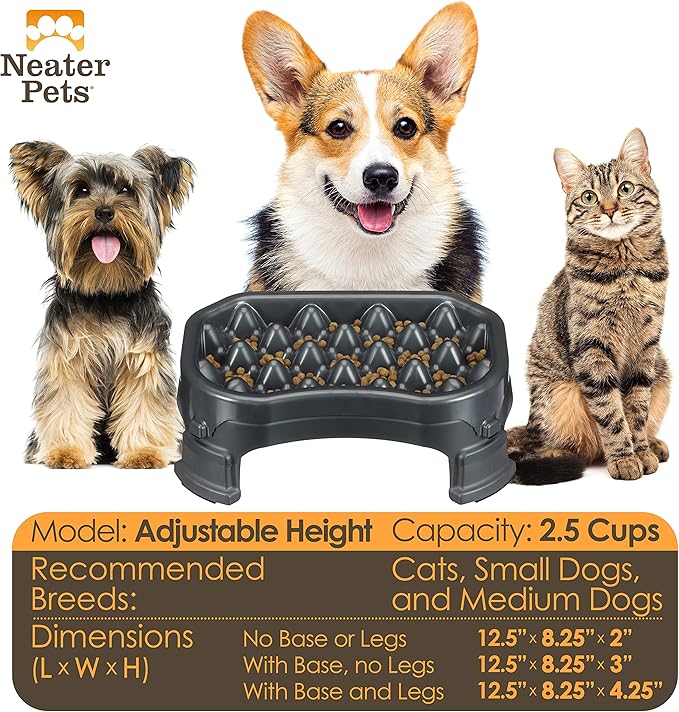 Neater Pet Brands – Neater Raised Slow Feeder Dog Bowl – Elevated and Adjustable Food Height - (2.5 Cup, Gunmetal)