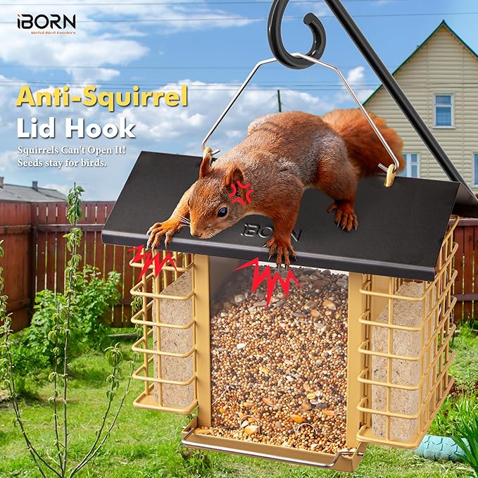 iBorn Bird Feeders for Outdoors,Bird Feeder with Double Suet Holders,Suet Feeder for Outside Hanging,Large Weatherproof Metal Roof,3.2 LBs Seeds Capacity + 2X Cakes,Easy to Refill & Clean,1 Pack,Black