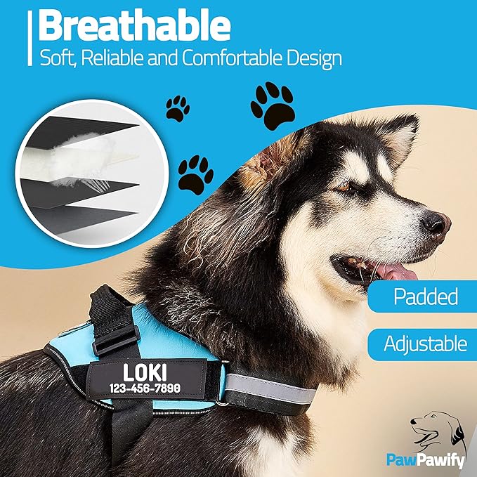 PawPawify Custom No Pull Dog Harness with Name and Phone Number, Heavy Duty Personalized Pet Vest to Prevent Tugging, Pulling, or Choking, Training and Walking (Sky Blue, XXL (Chest 36-42in))