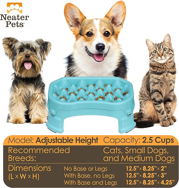 Neater Pet Brands – Neater Raised Slow Feeder Dog Bowl – Elevated and Adjustable Food Height - (2.5 Cup, Aquamarine)
