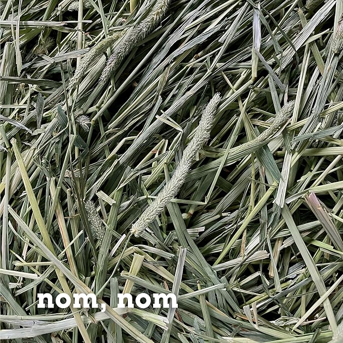 Bunny Honey Timothy Hay for Adult Rabbits, Guinea Pigs & Small Pets High-Fiber, Supports Digestive Health & Dental Care, Non-Blended & Fresh Cut