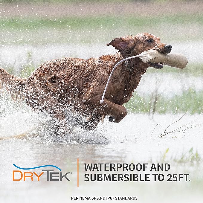 SportDOG Brand Rechargeable In-Ground Fence System - Waterproof, Rechargeable Collar with Tone, Vibrate, and Shock - Expandable to Contain Unlimited Dogs
