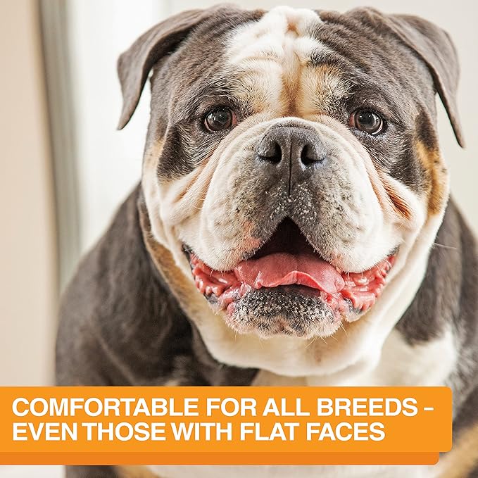 Neater Feeder Express Mess Proof Dog Bowls Elevated for Medium and Large Breed – Made in USA – No Spill Raised Slow Feeder Elevated Dog Bowl Stand, Slow Feed Food and Water Bowl Set, Grey