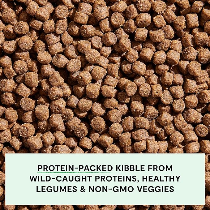 Open Farm, Grain-Free Dry Dog Food, Complete & Balanced Kibble, Sustainably & Ethically Sourced Ingredients, Non-GMO Veggies & Superfoods, Catch-of-The-Season Whitefish Recipe, 11lb Bag